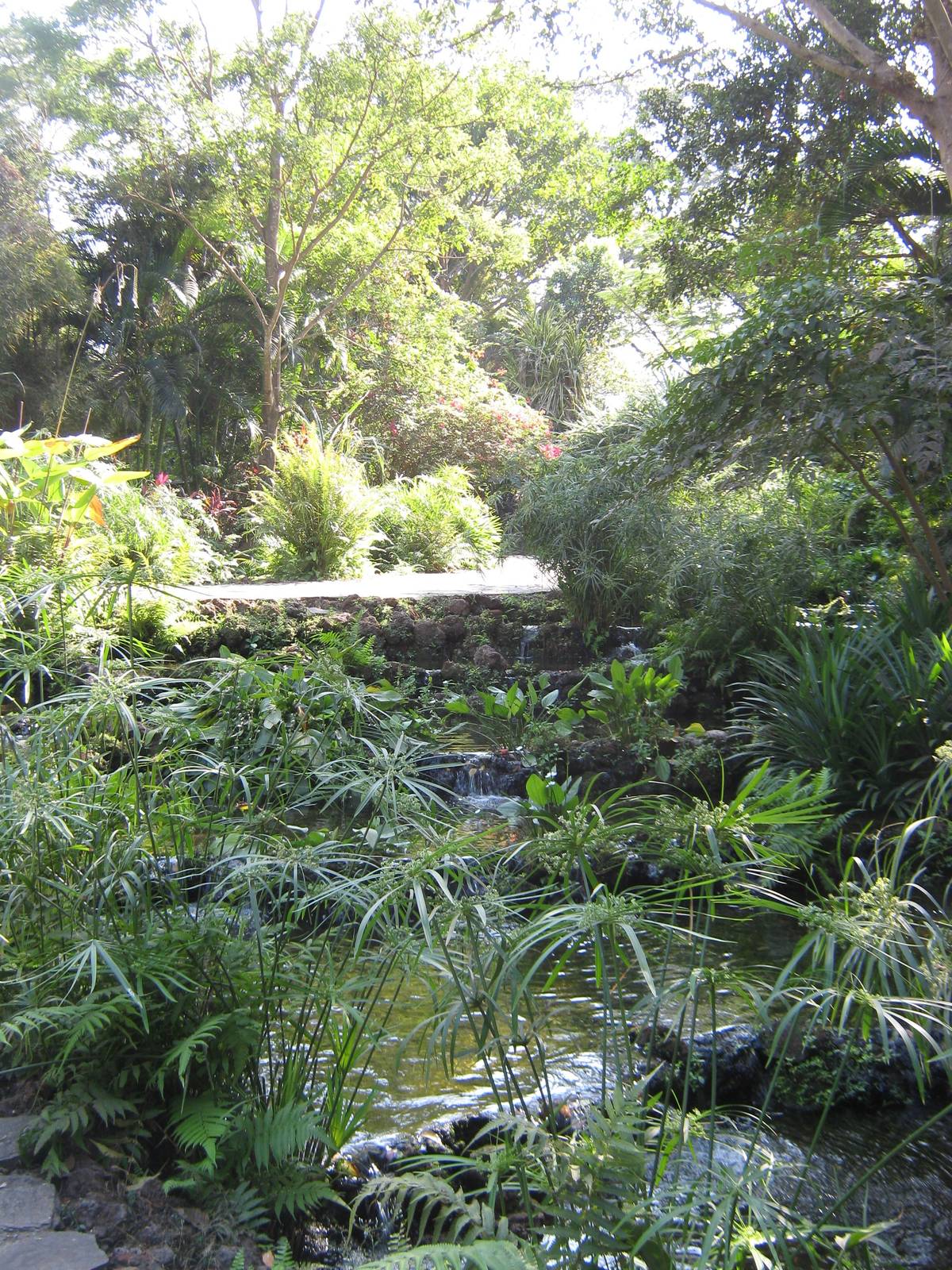 ornamental fish ponds