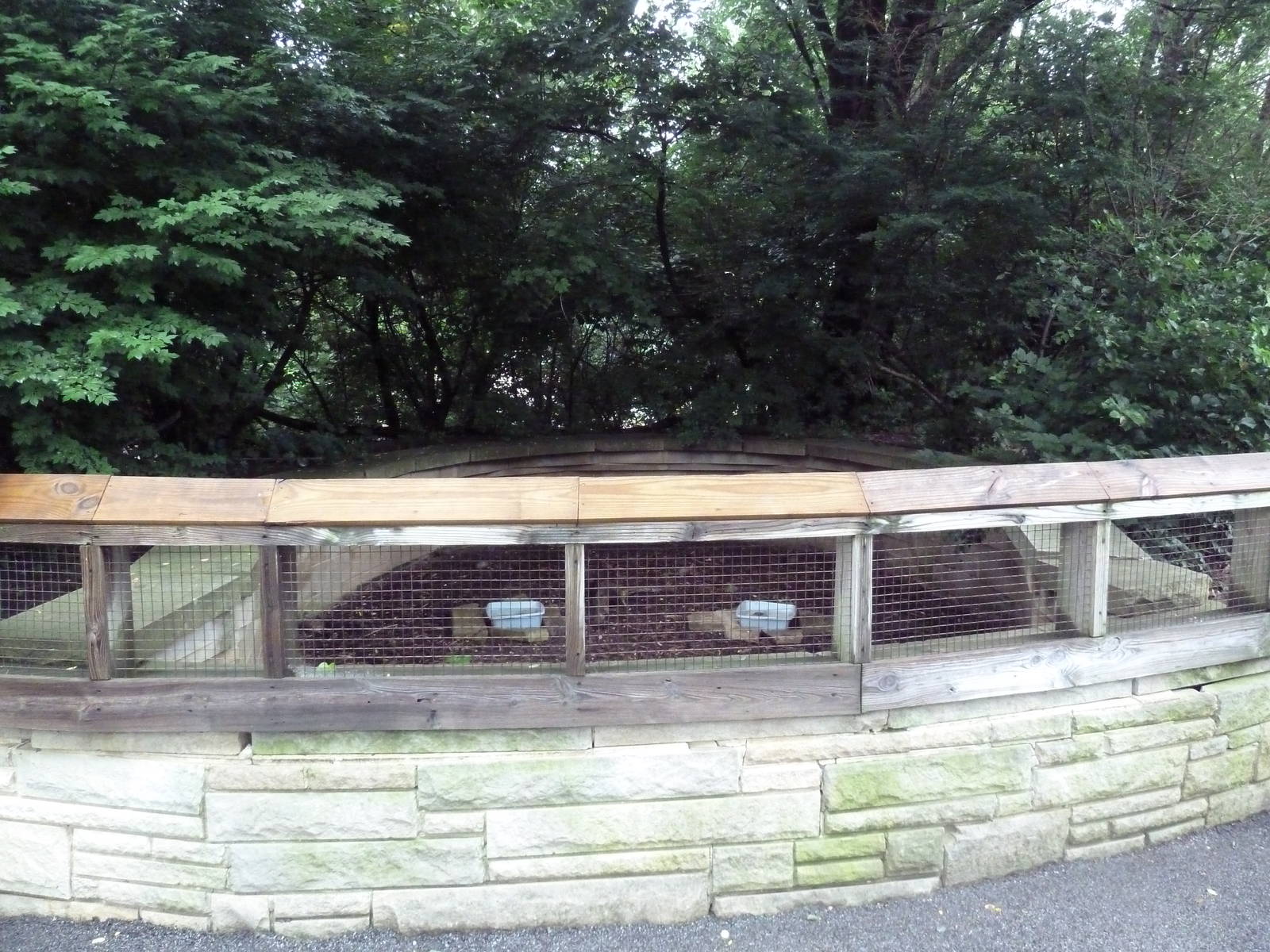 Ornate Box Turtle/Eastern Box Turtle Exhibit