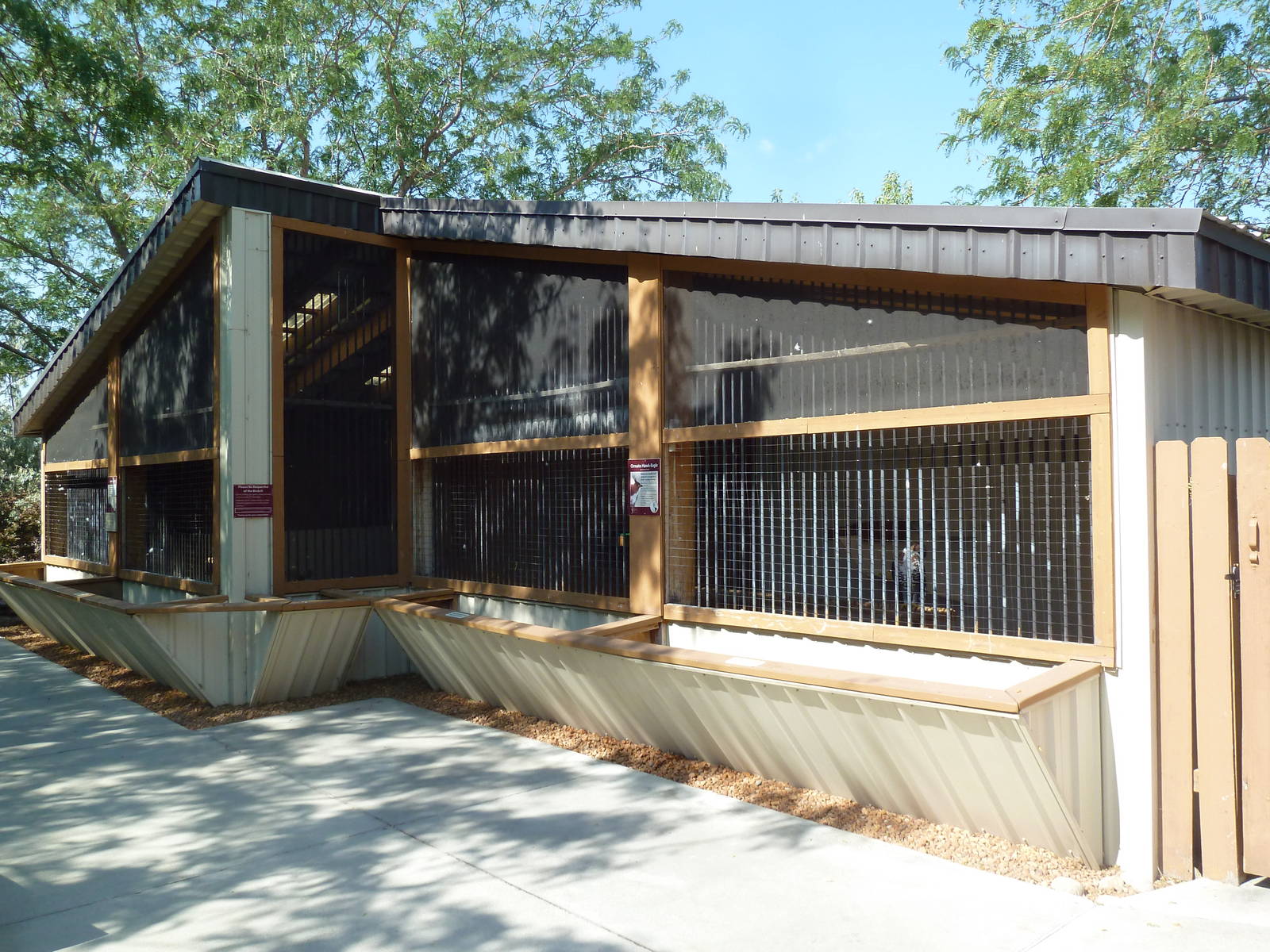 Ornate Hawk-Eagle + Bald Eagle Exhibits