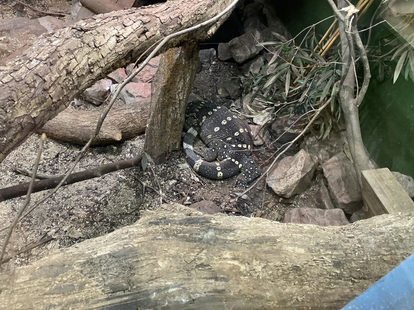 Ornate monitor 071121