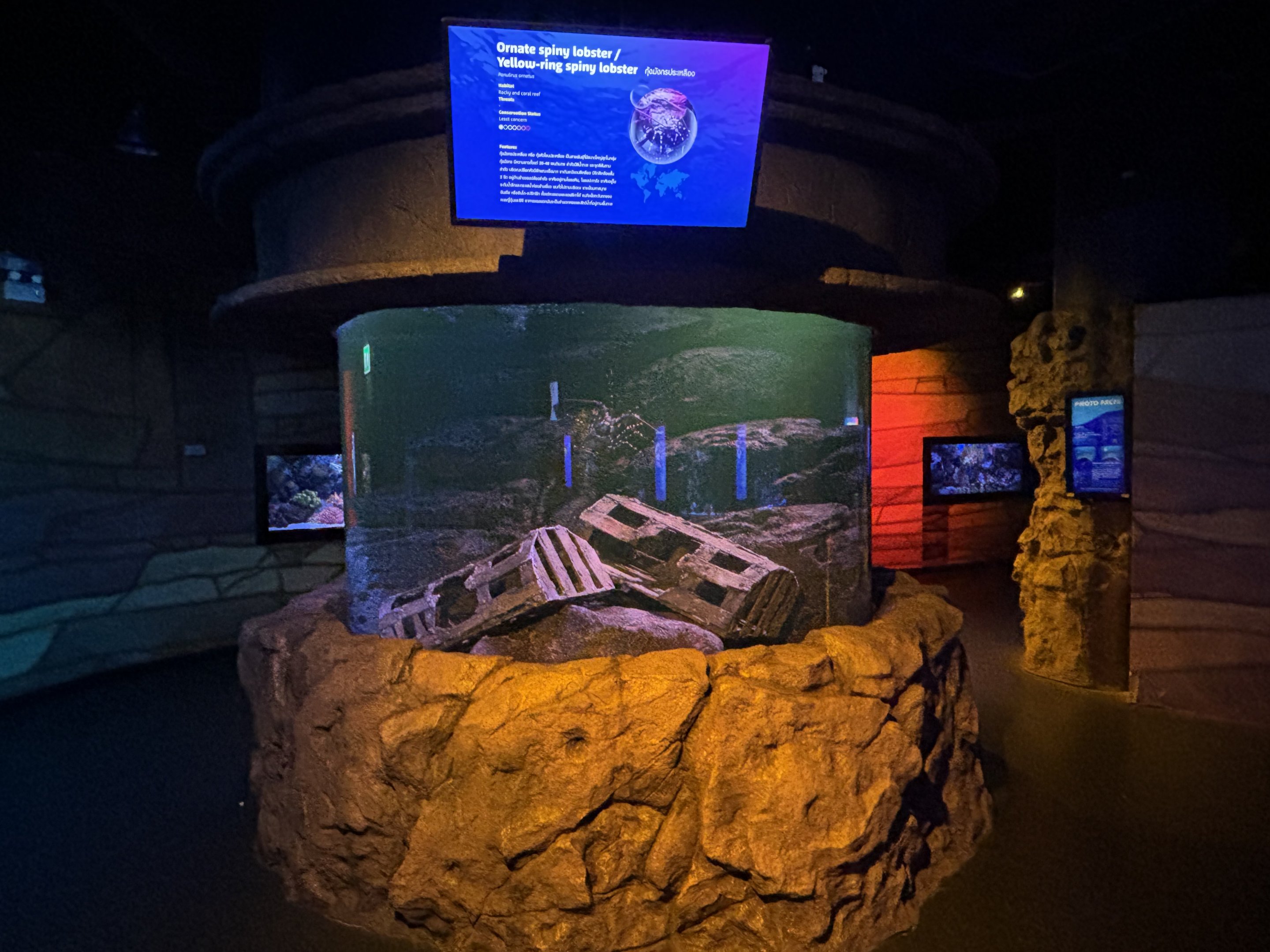 Ornate Spiny Lobster Exhibit