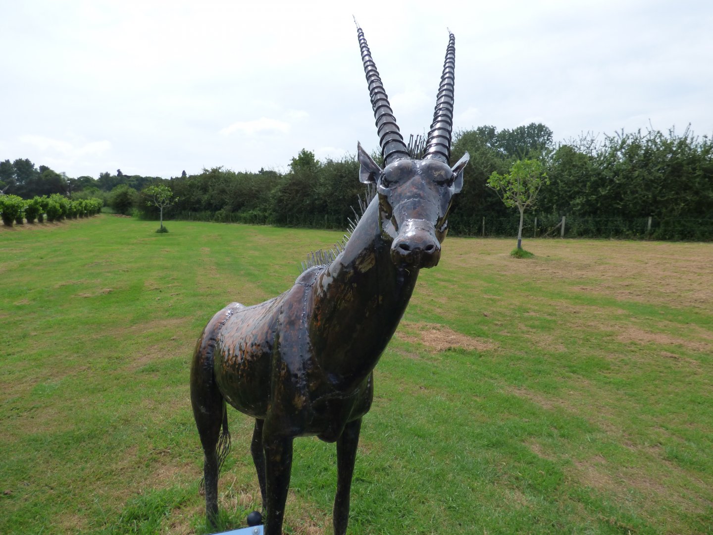 Oryx at British Iron Works Centre