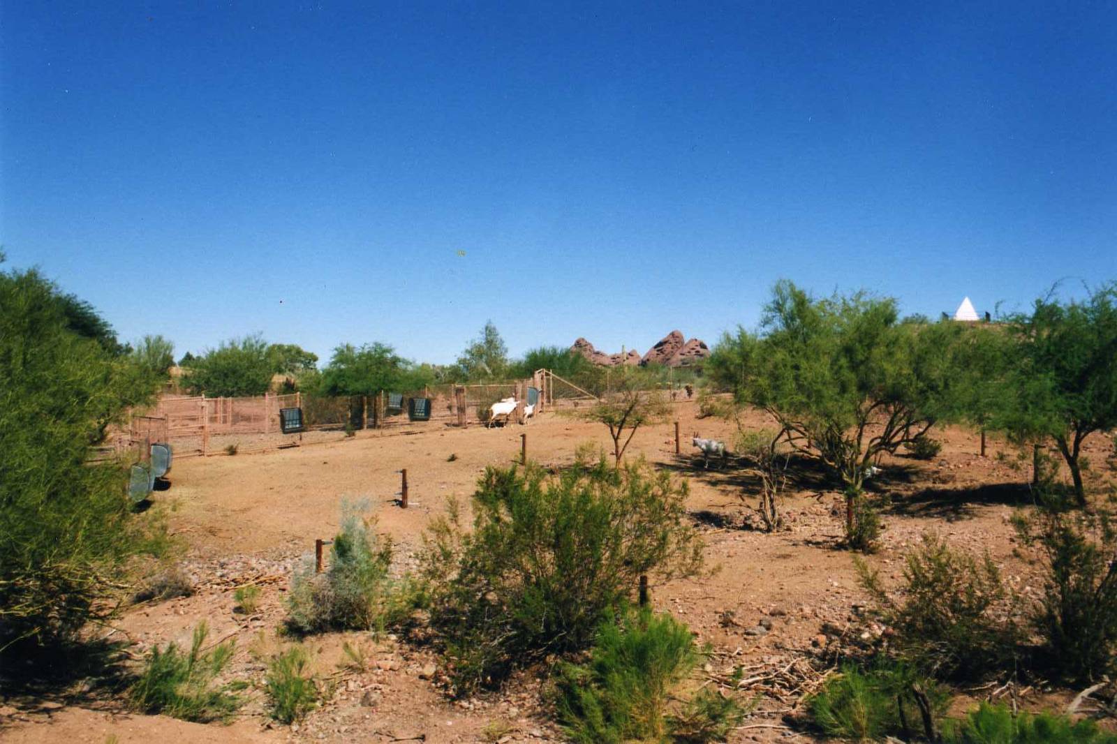 Oryx Exhibit and Grave