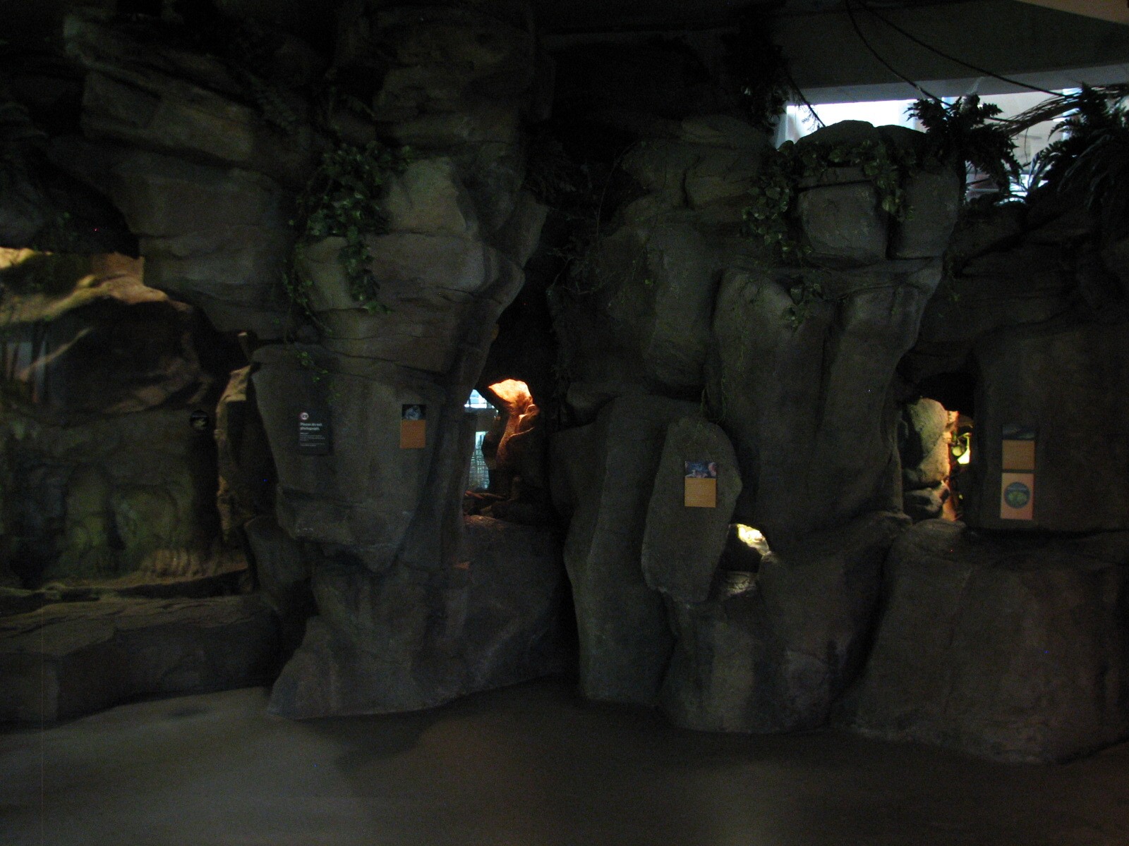 Osher Rainforest - Borneo Cave Exhibits