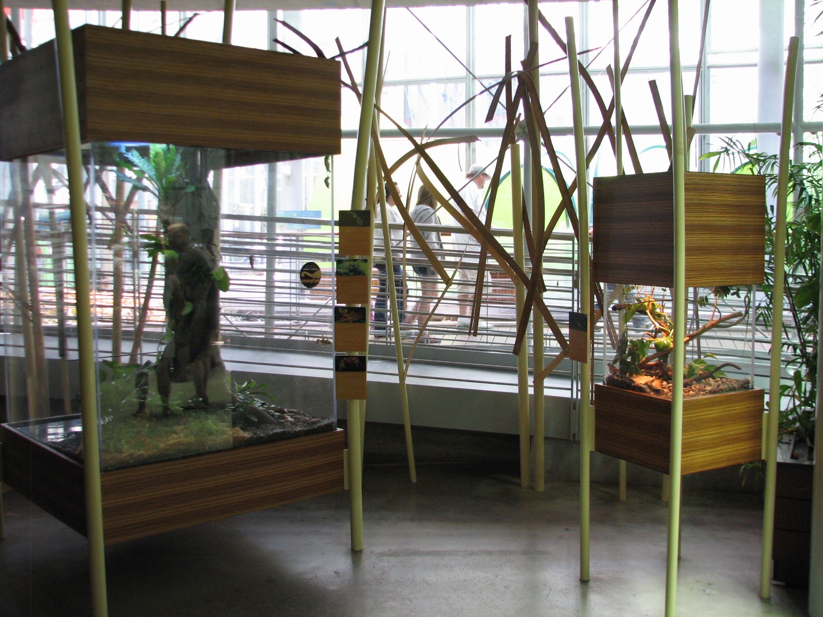 Osher Rainforest - Borneo Exhibits - Terrariums