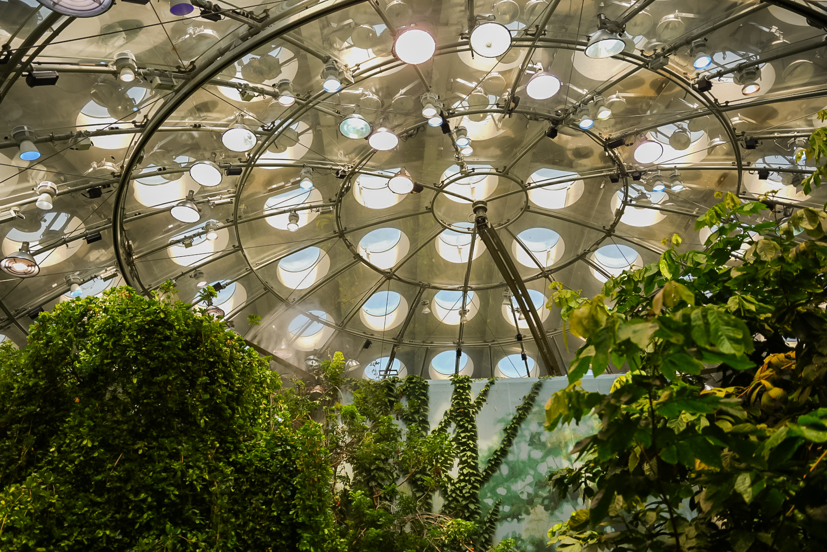 'Osher Rainforest Dome' Canopy
