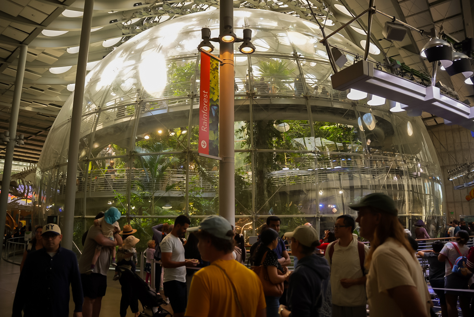 'Osher Rainforest Dome' Outer View