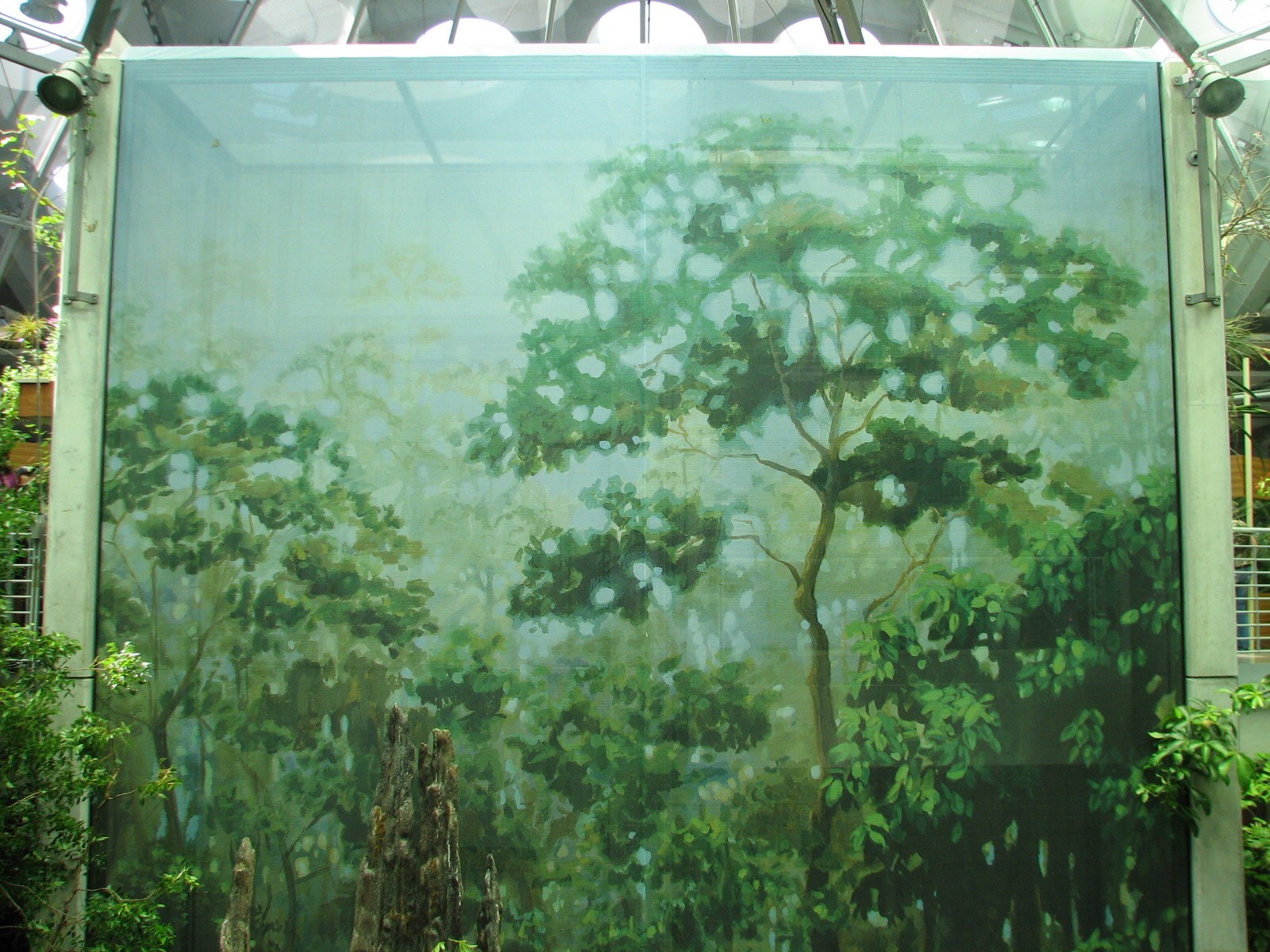 Osher Rainforest - Elevator Shaft