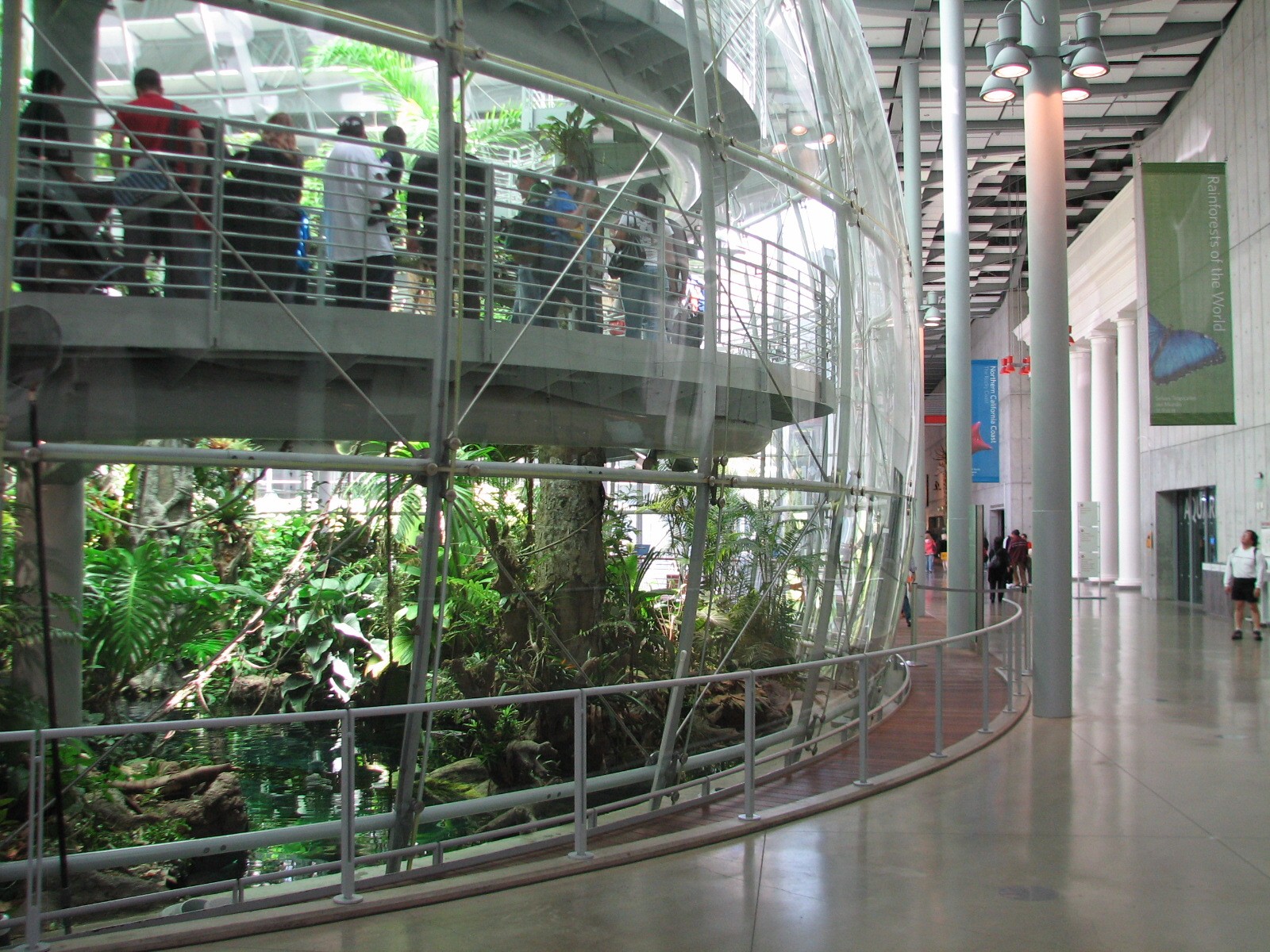 Osher Rainforest - Exterior