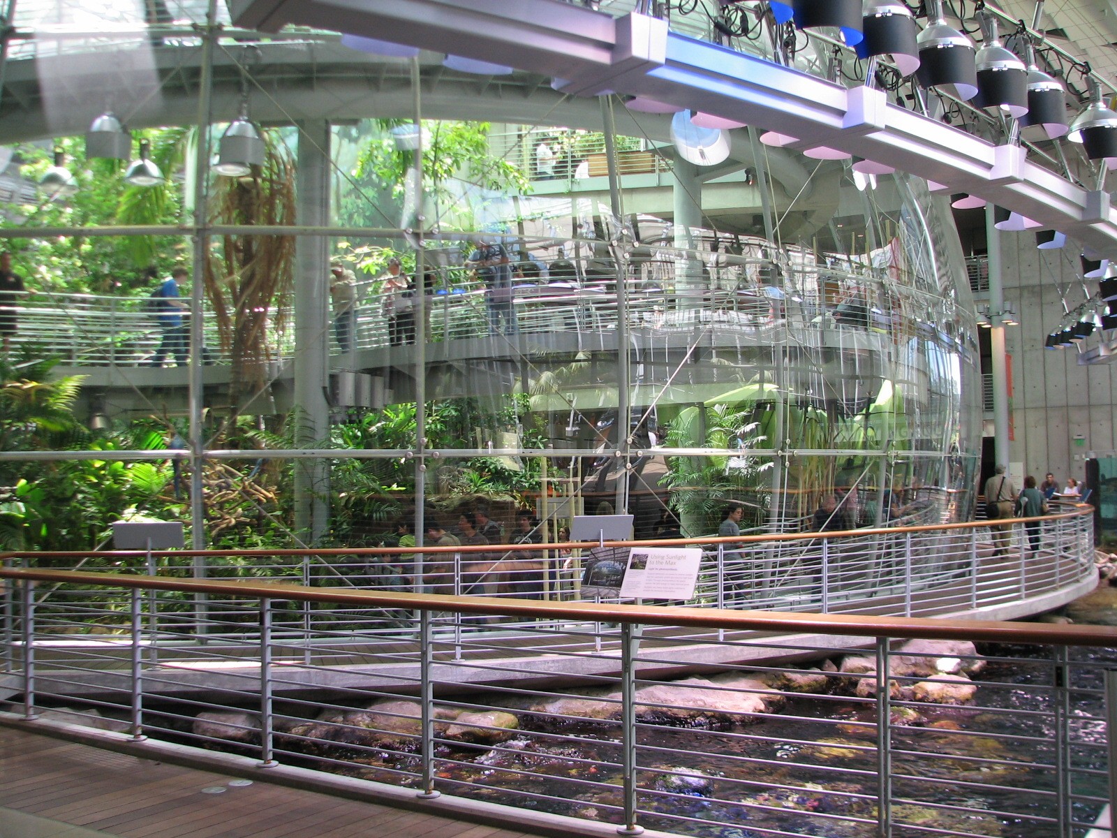 Osher Rainforest - Exterior