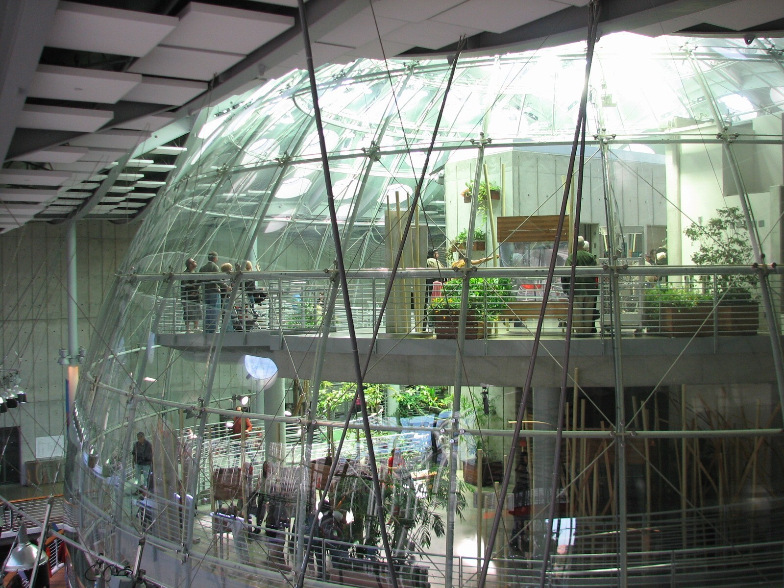 Osher Rainforest - Exterior