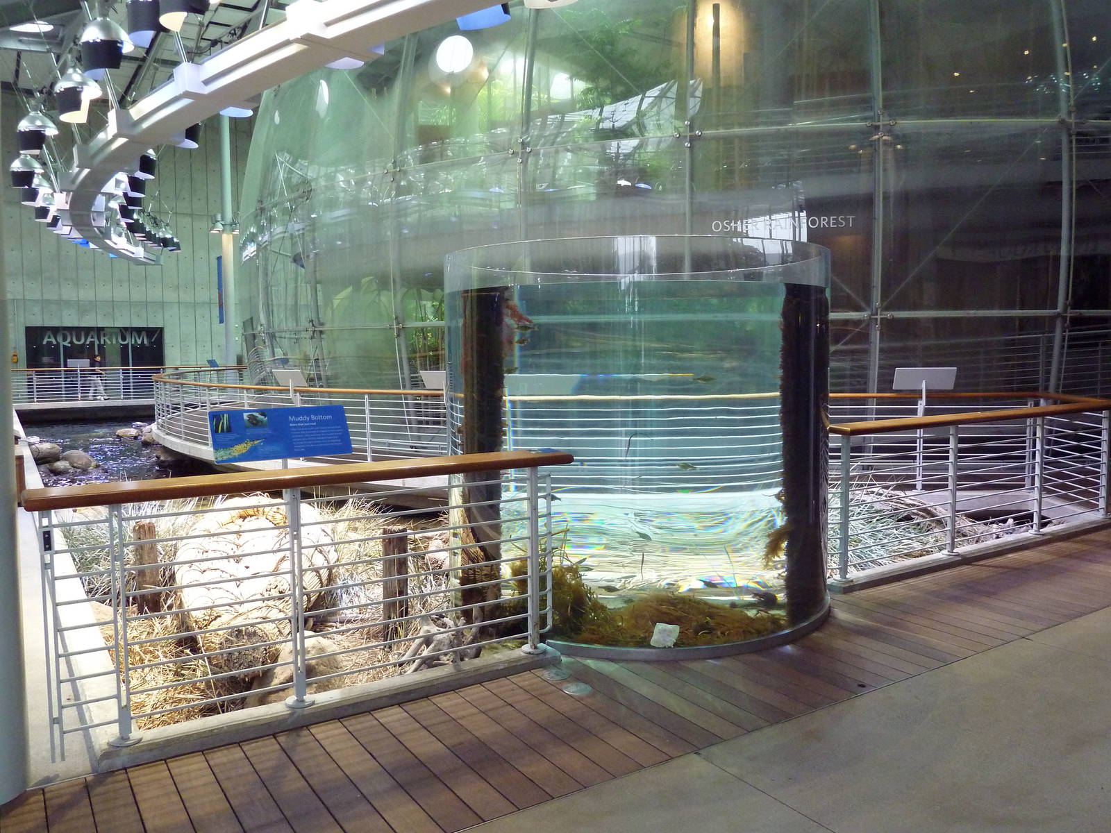 Osher Rainforest - Exterior