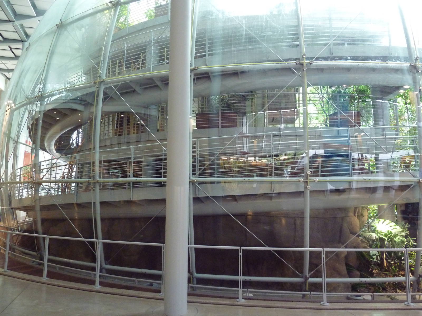 Osher Rainforest - Exterior