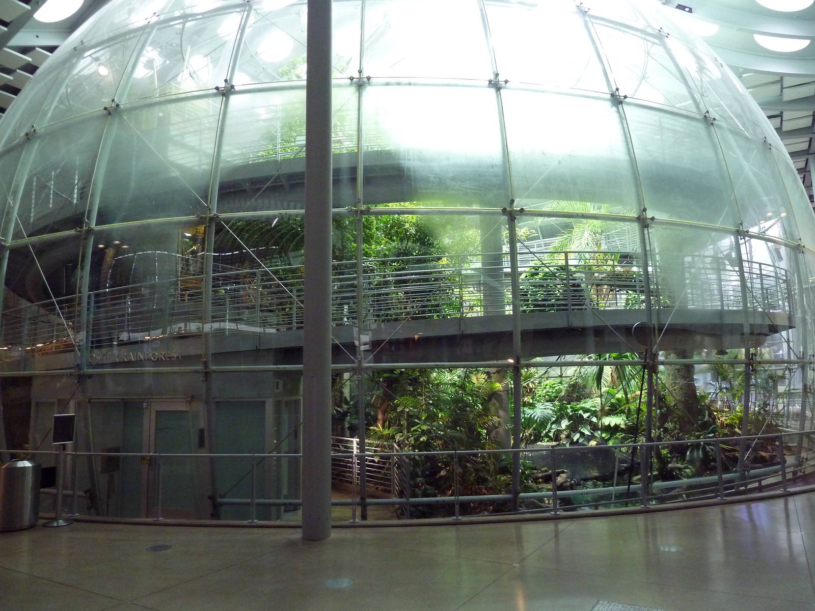 Osher Rainforest - Exterior