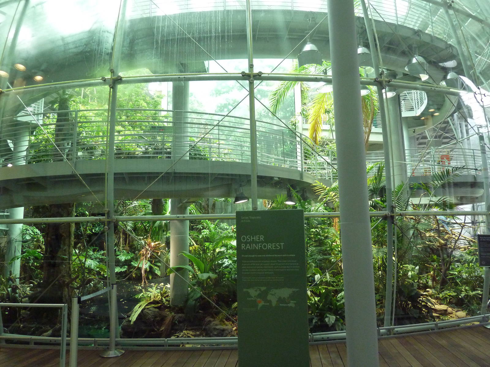 Osher Rainforest - Exterior