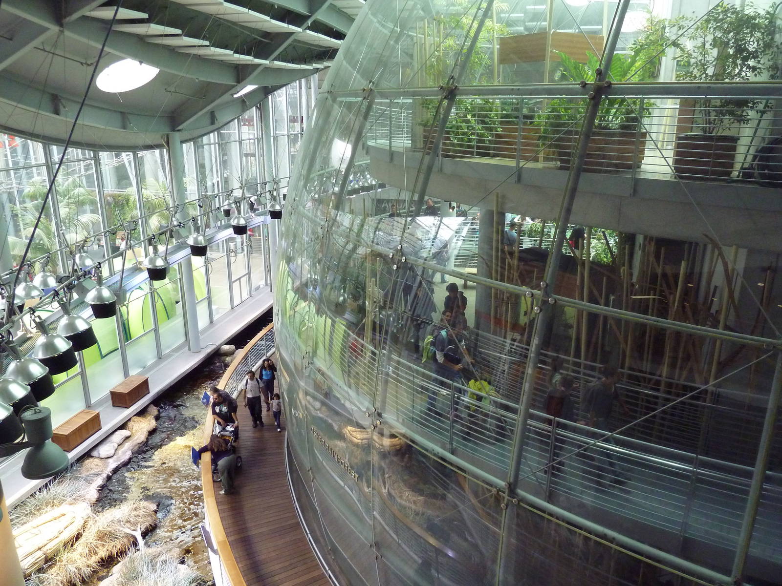 Osher Rainforest - Exterior