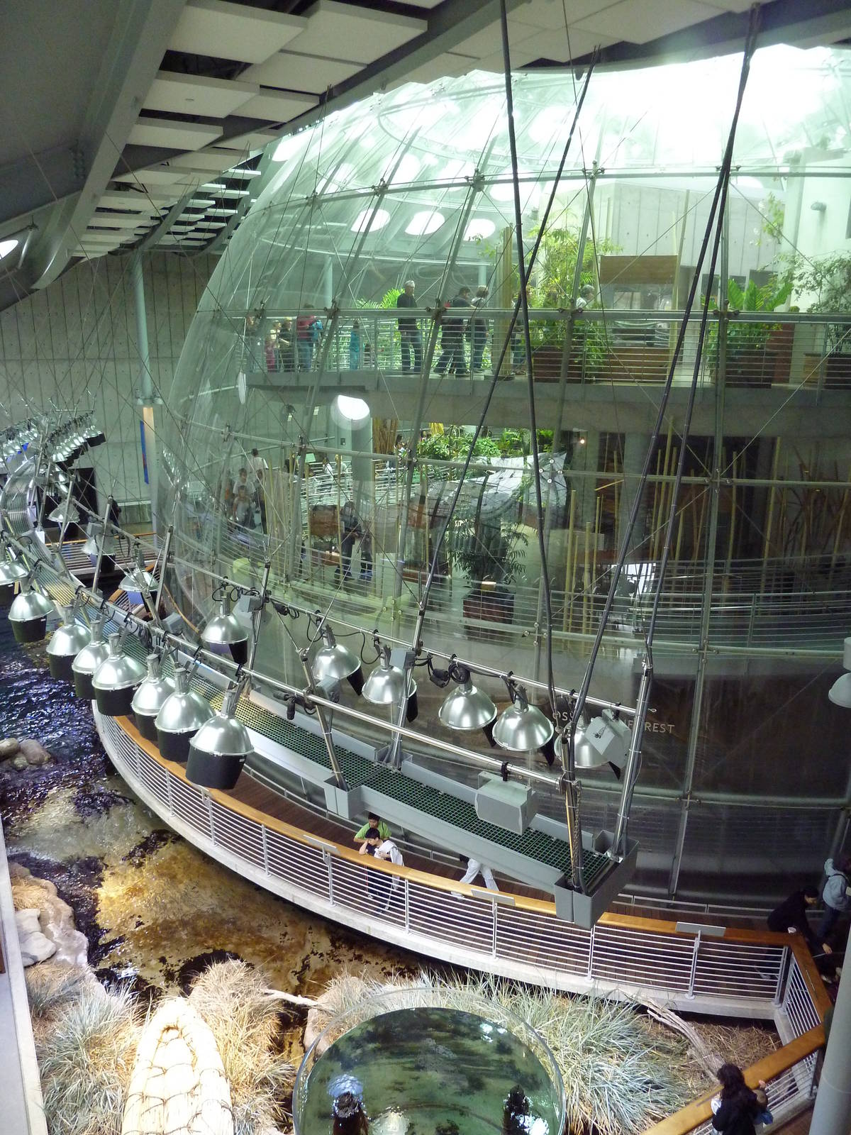 Osher Rainforest - Exterior