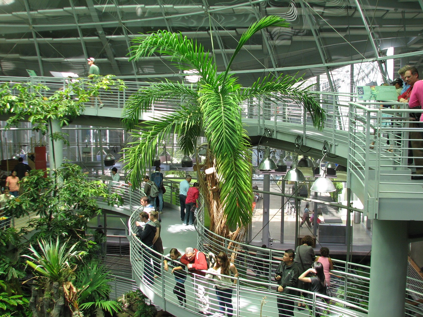 Osher Rainforest - Interior