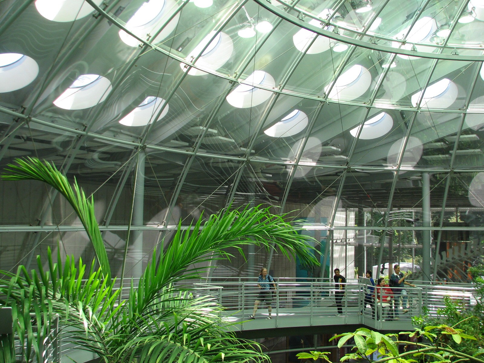Osher Rainforest - Interior