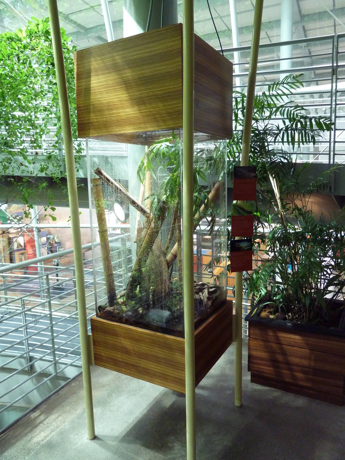 Osher Rainforest - Madagascar Exhibit (3 Species)