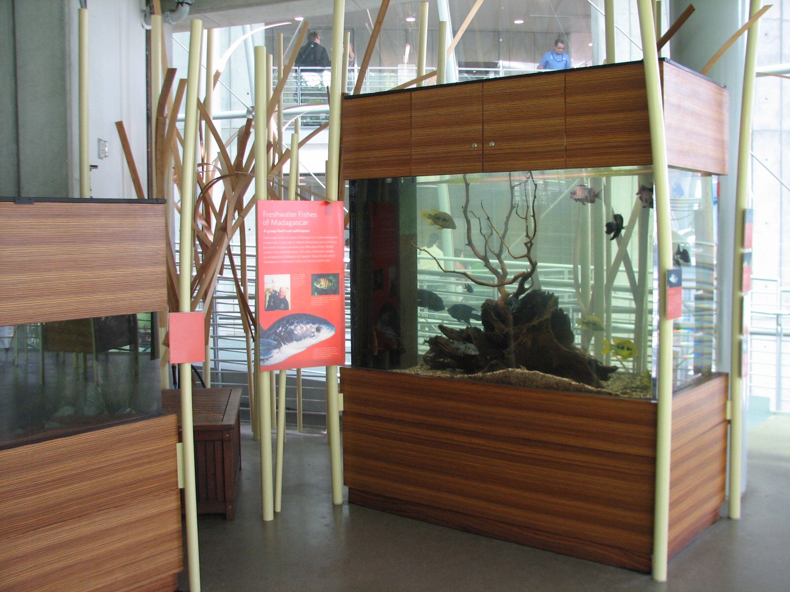 Osher Rainforest - Madagascar Exhibits - Aquariums