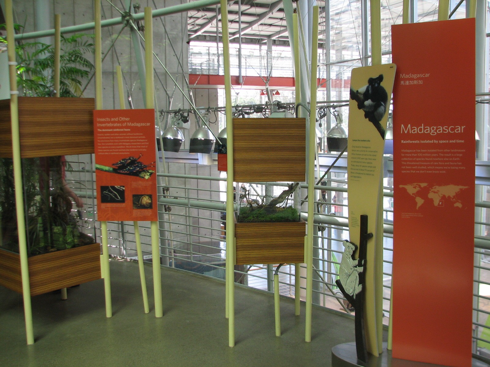 Osher Rainforest - Madagascar Exhibits - Terrariums