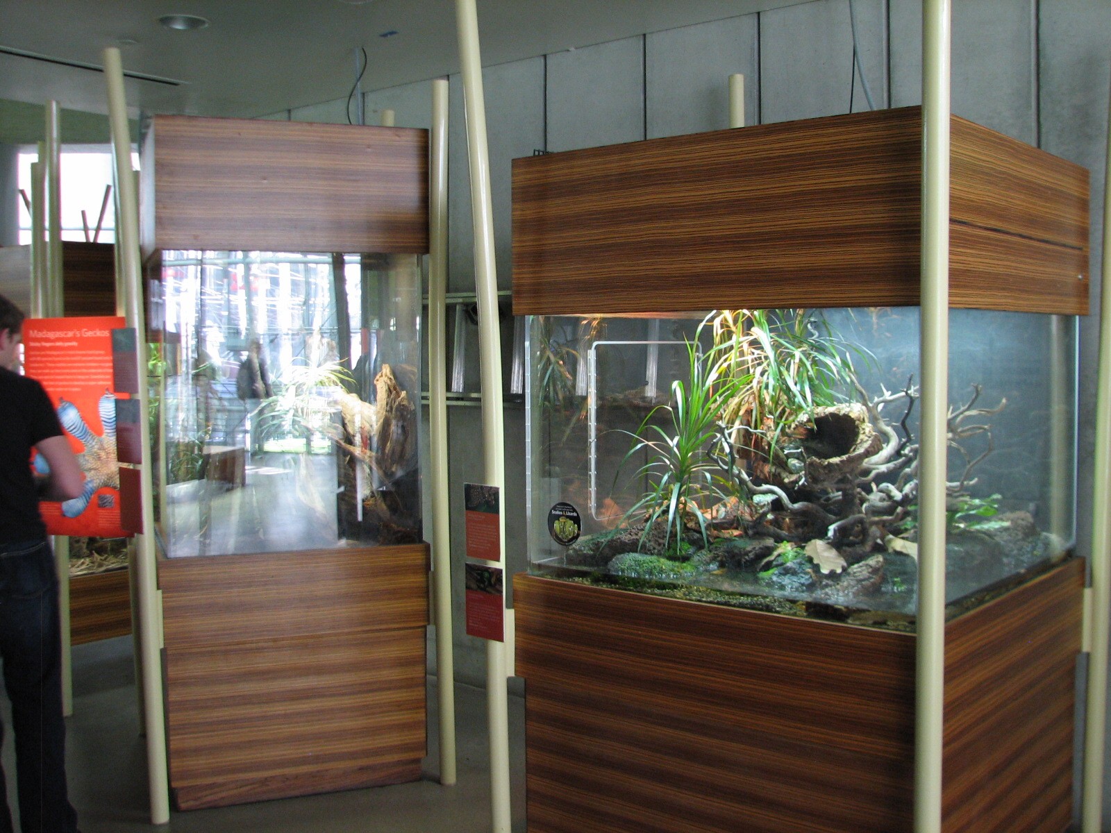 Osher Rainforest - Madagascar Exhibits - Terrariums