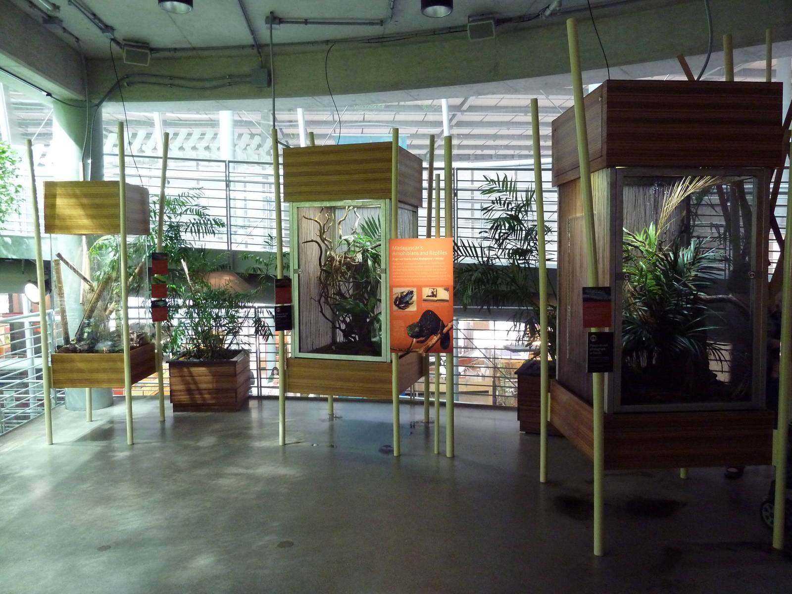 Osher Rainforest - Madagascar Exhibits