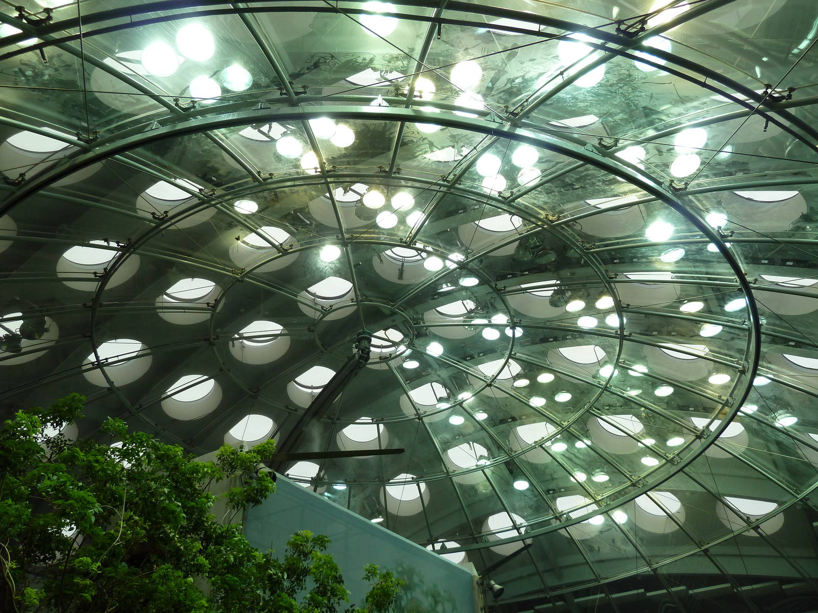 Osher Rainforest - Roof