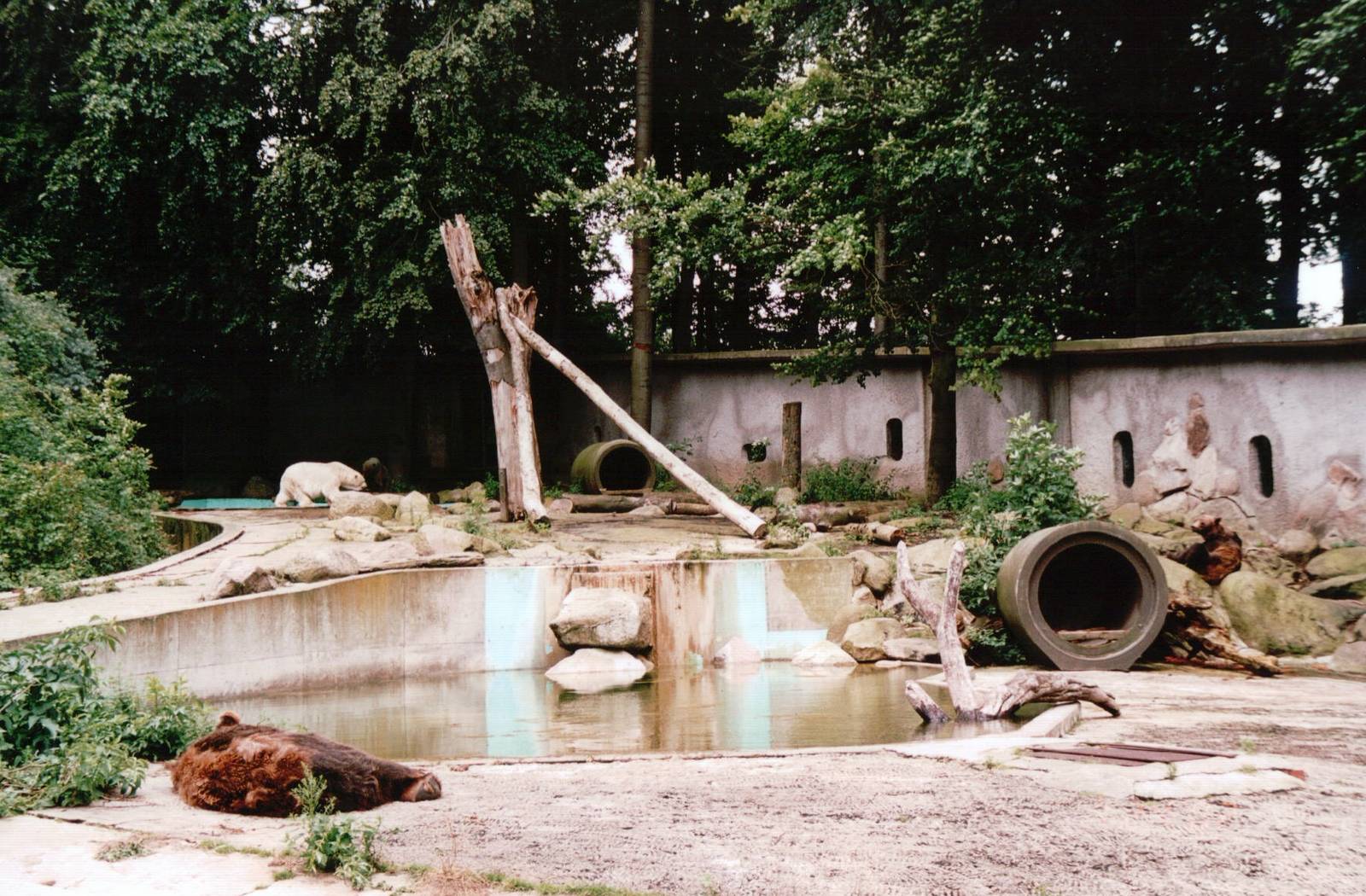 Osnabrück Zoo 2002 - Mixed Bear exhibit