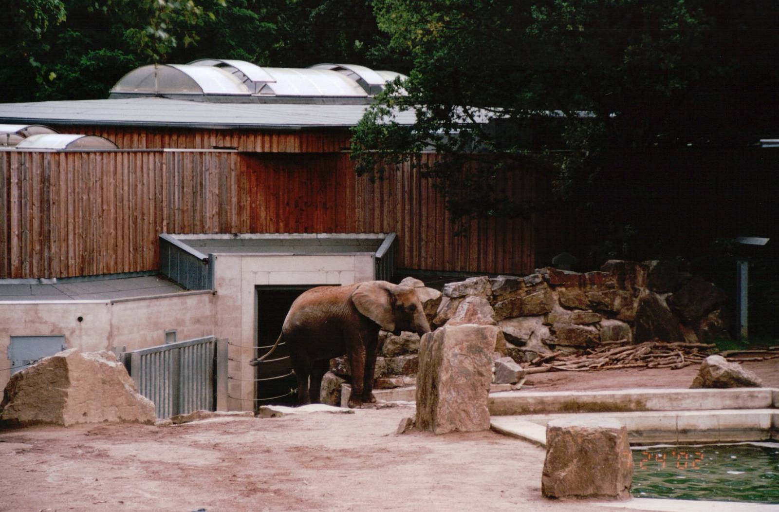 Osnabrück Zoo 2002 - Part of the African Elephant exhibit