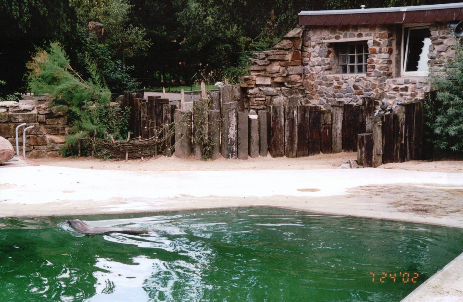 Osnabrück Zoo 2002 - Part of the Common Seal exhibit