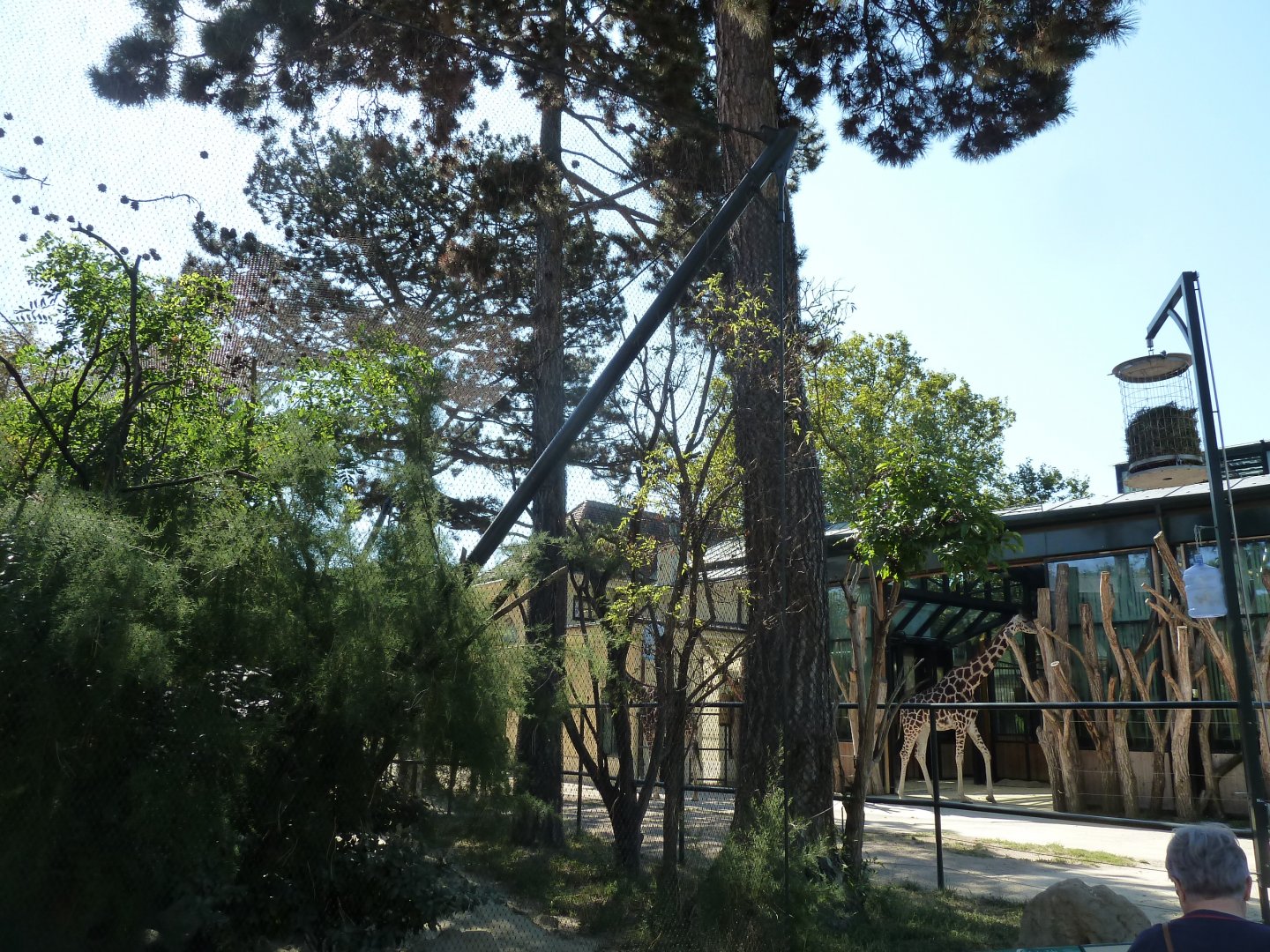 Ost-Afrika House and Von der Decken hornbill aviary