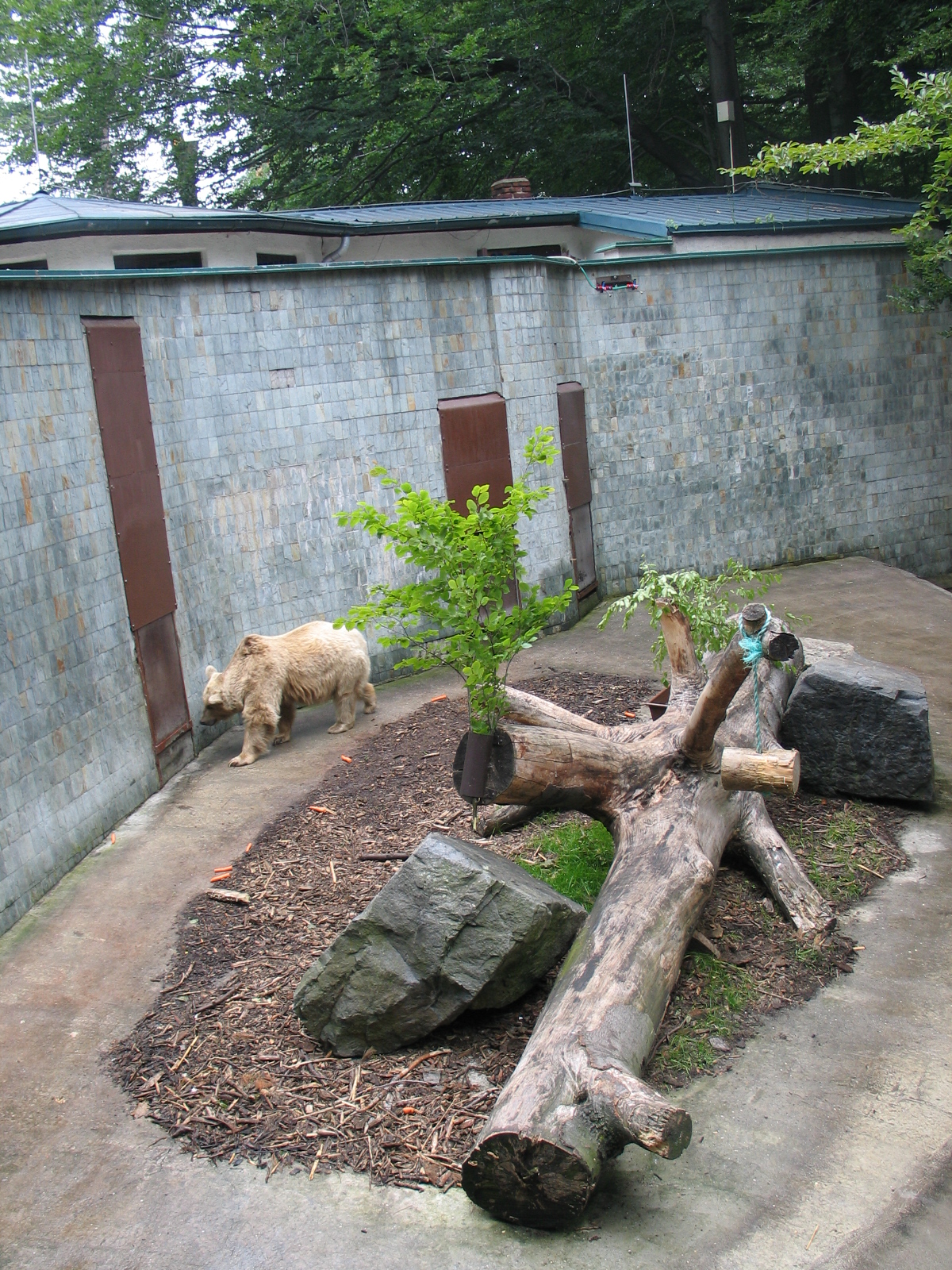 Ostrava Zoo - June 2005