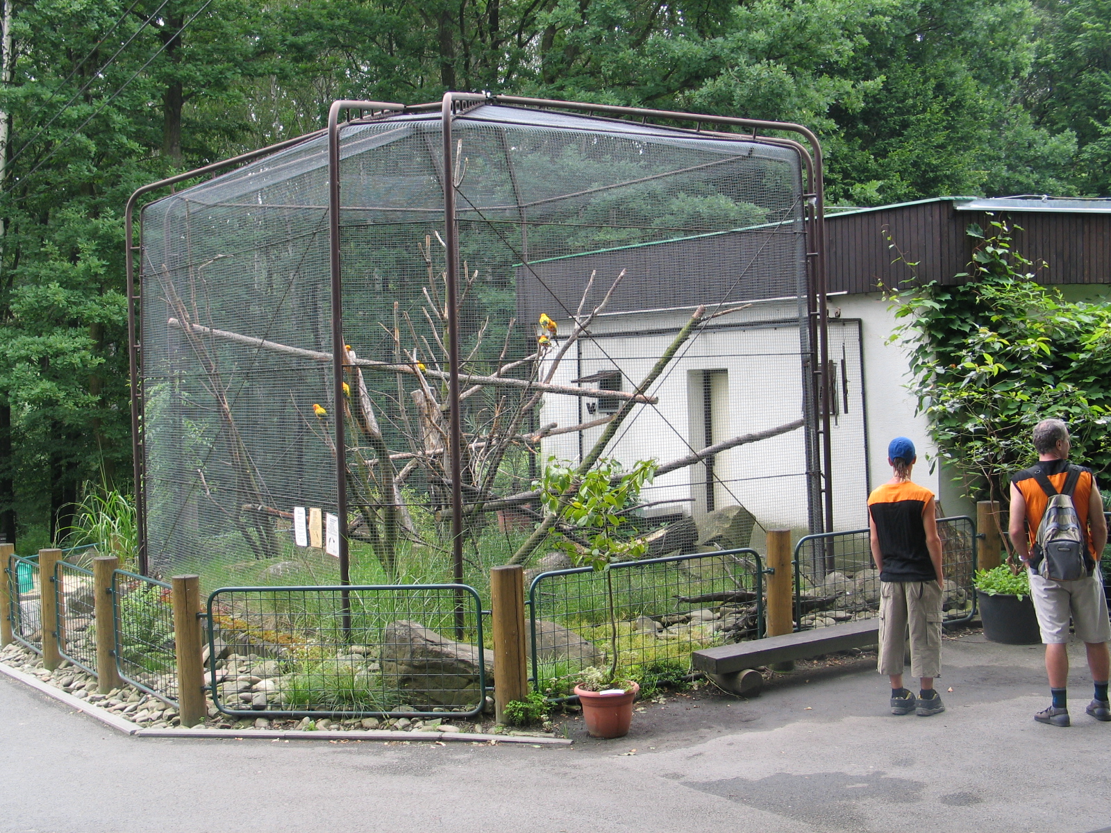 Ostrava Zoo - June 2005