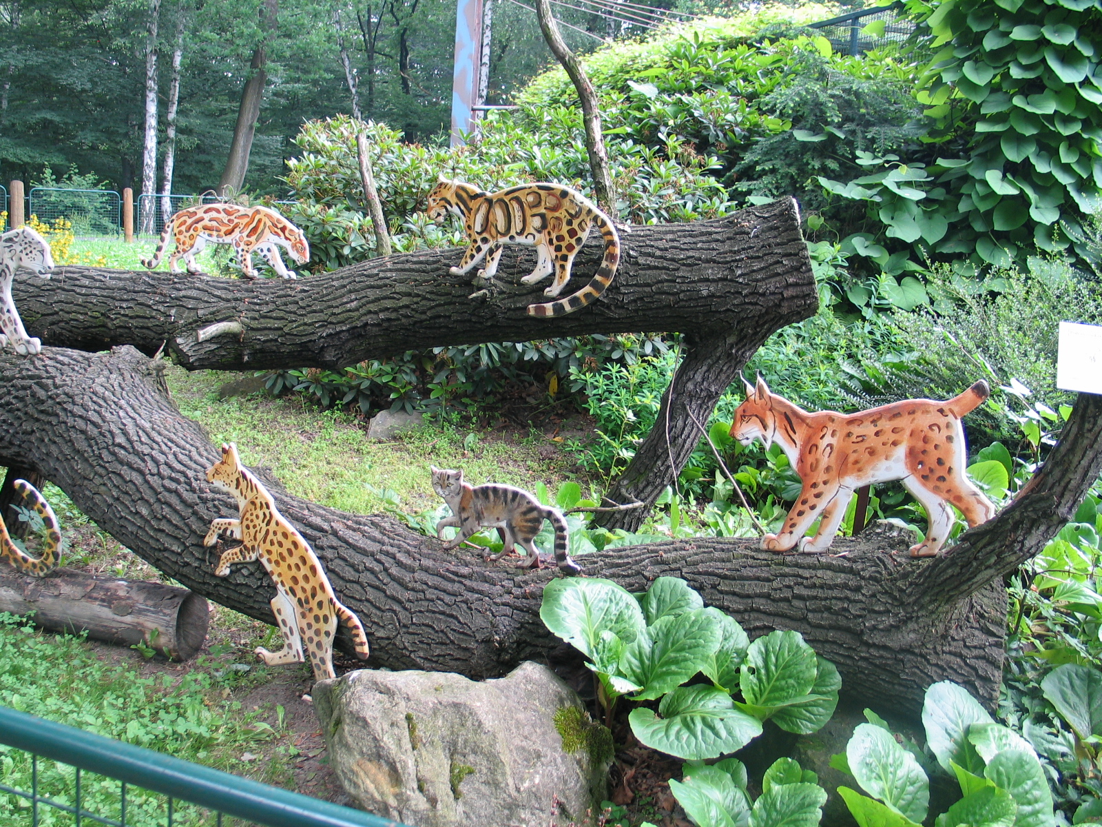 Ostrava Zoo -June 2005