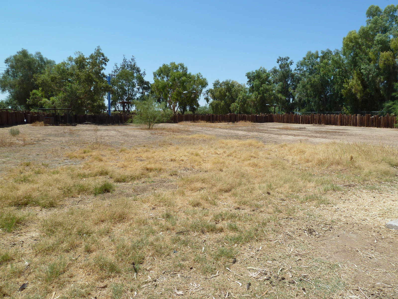Ostrich/Abyssinian Ground Hornbill Exhibit