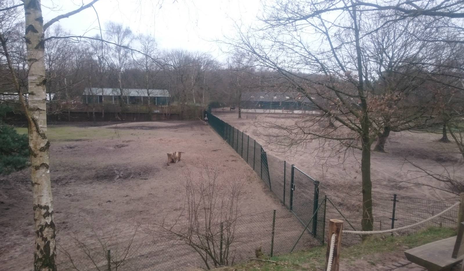 Ostrich and Blue wildebeest enclosures