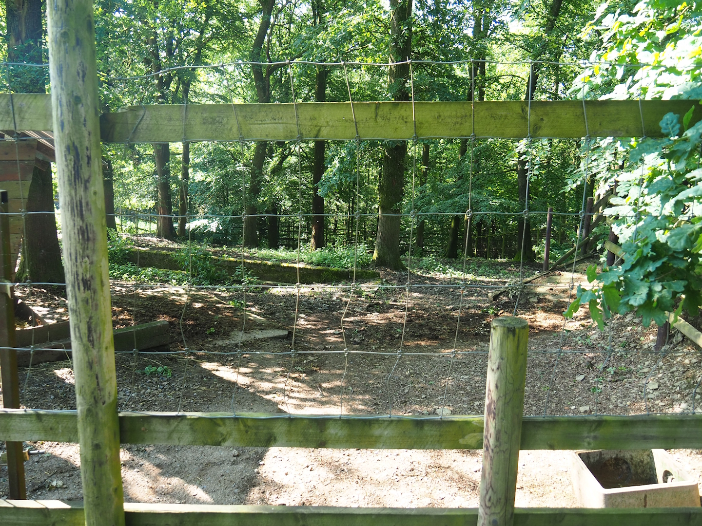 Ostrich and Blue wildebeest paddock, 2023-06-24