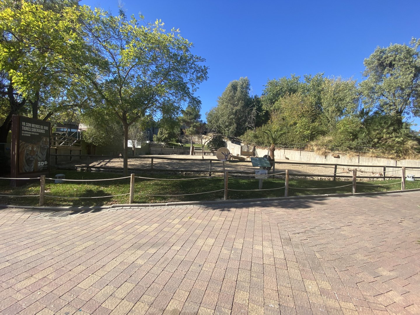 Ostrich and Dorcas gazelles enclosure