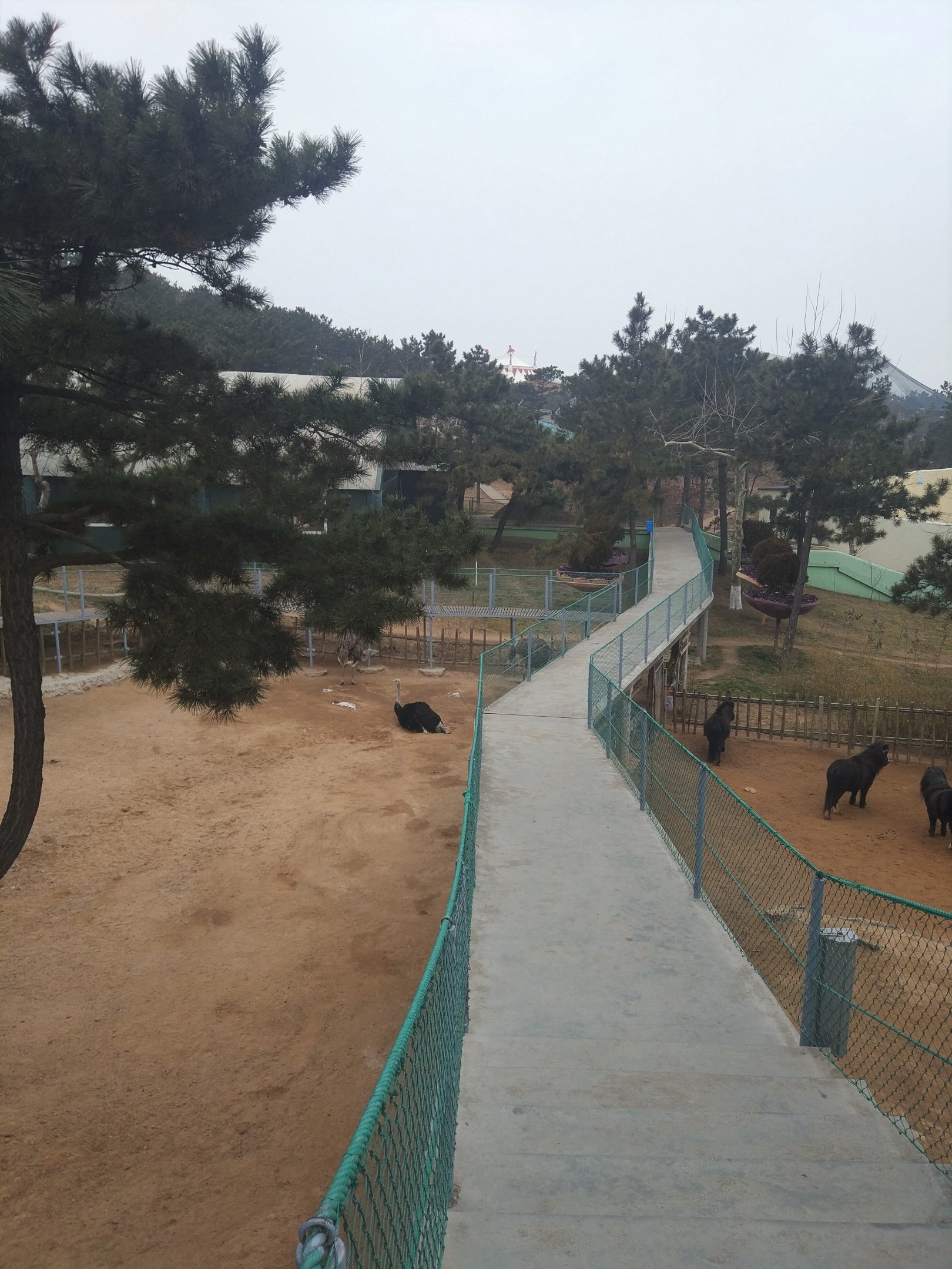 Ostrich and Pony Exhibits