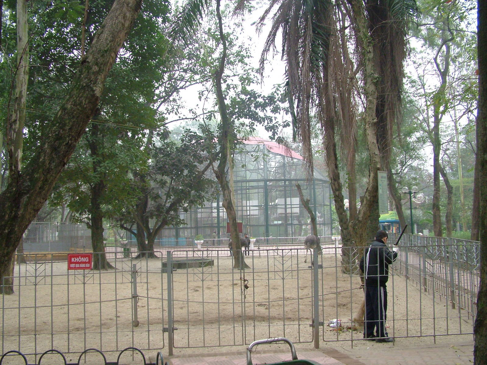Ostrich and Rhea Paddock at Hanoi Zoo, 15/03/12
