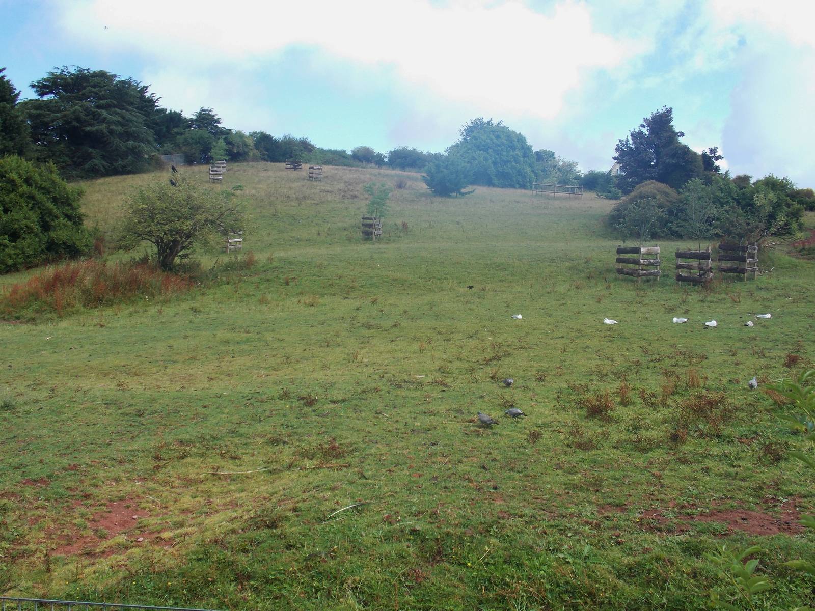 Ostrich and Zebra Exhibit