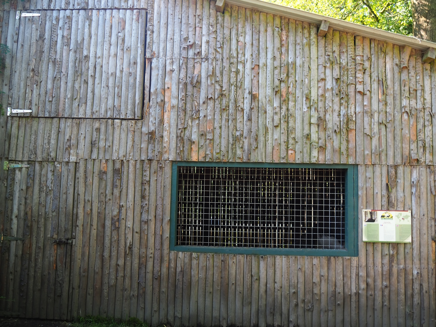 Ostrich barn, 2023-06-24