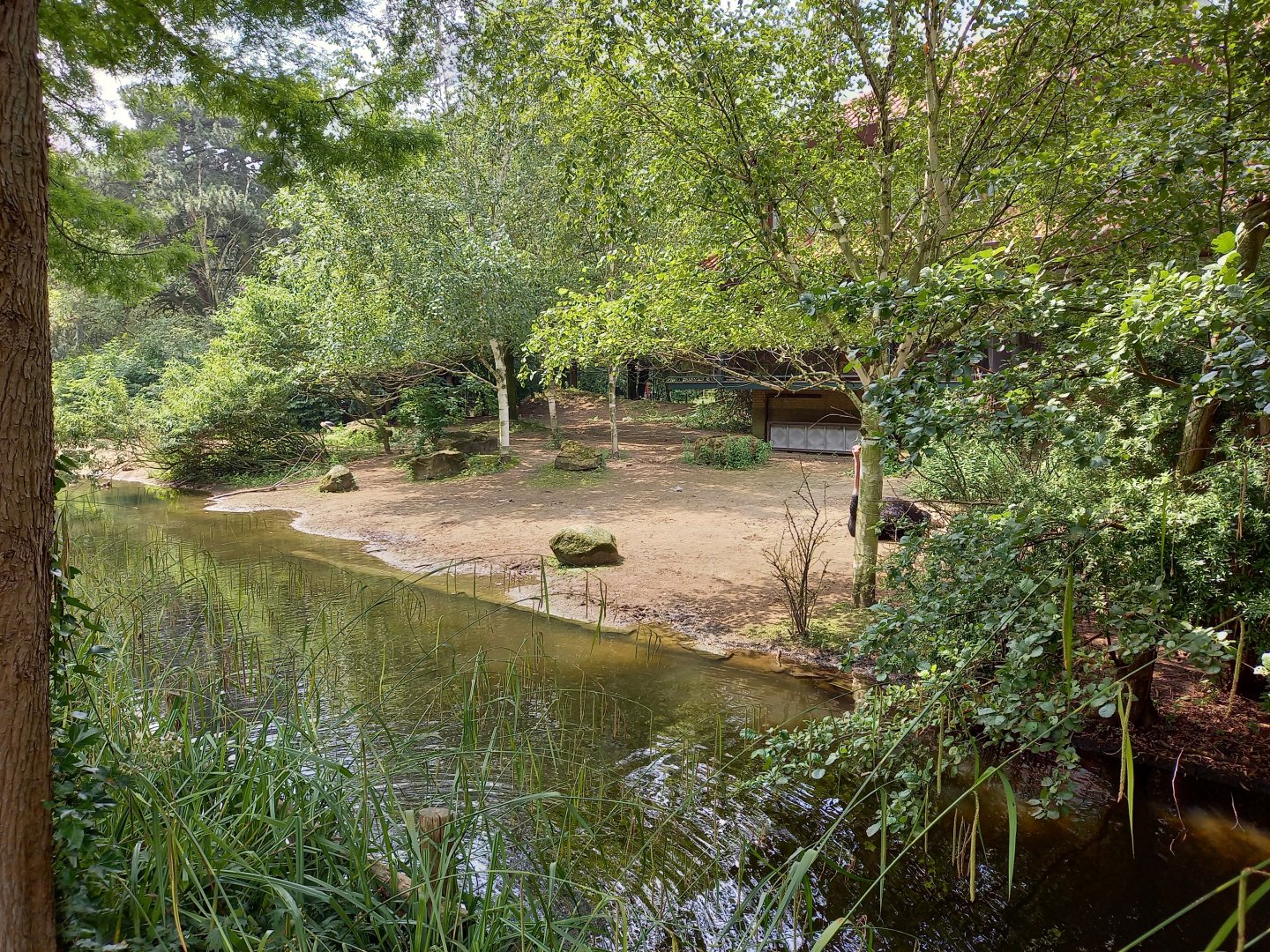 Ostrich - Crowned crane - Guineafowl enclosure