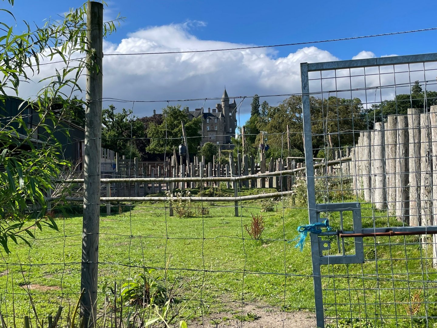 Ostrich enclosure (in the background)