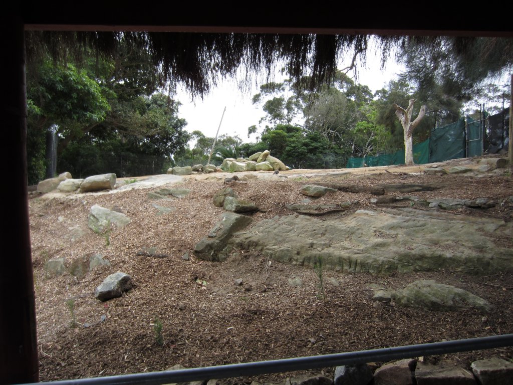 Ostrich enclosure