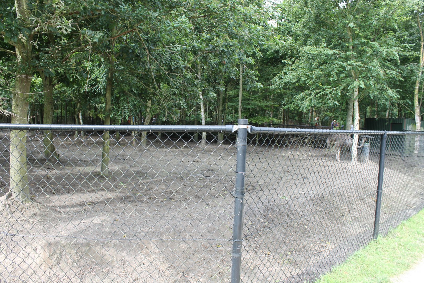 Ostrich-enclosure