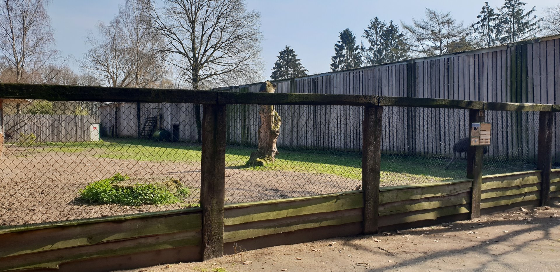 Ostrich-enclosure