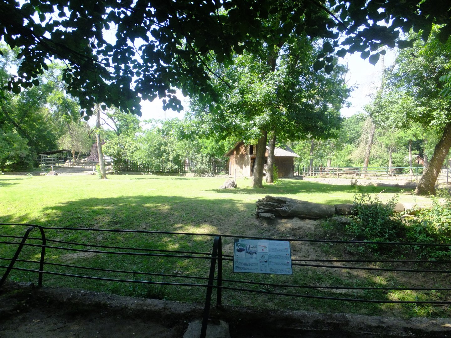 Ostrich enclosure